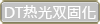 DT热光双固化